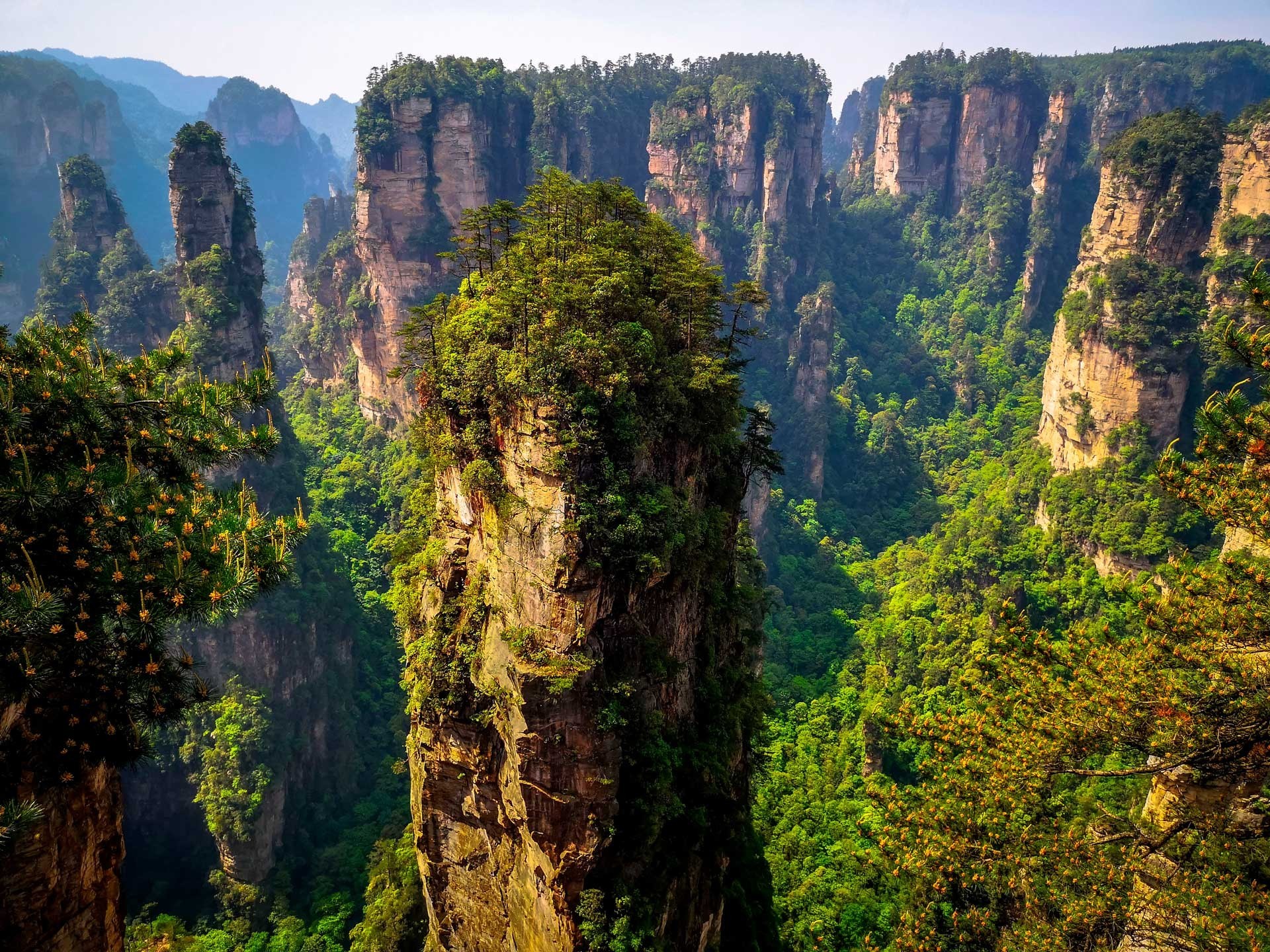 Explora la Maravilla Natural de Zhangjiajie: Inspiración para el Mundo de Avatar